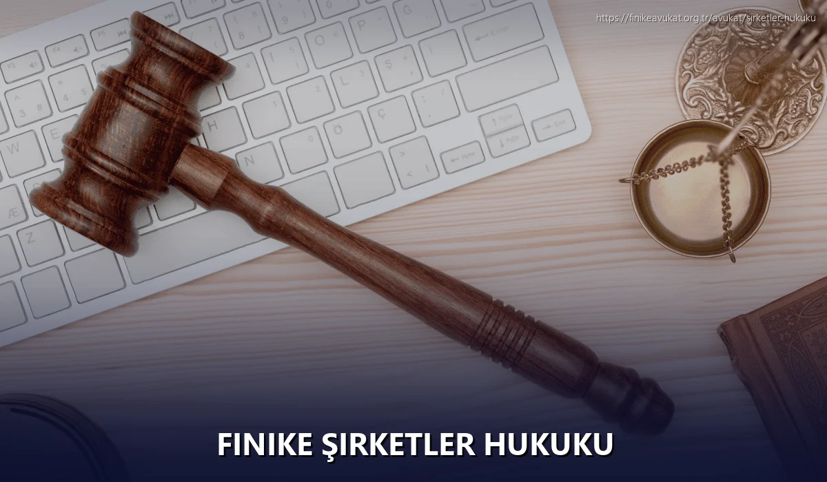 Finike Şirketler Hukuku